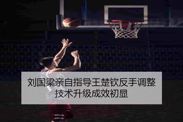 liu-guo-liang-qin-zi-zhi-dao-wang-chu-qin-fan-shou-tiao-zheng-ji-shu-sheng-ji-cheng-xiao-chu-xian-3-171.jpg