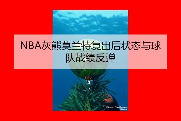 hui-xiong-mo-lan-te-fu-chu-hou-zhuang-tai-yu-qiu-dui-zhan-ji-fan-tan-3-856.jpg