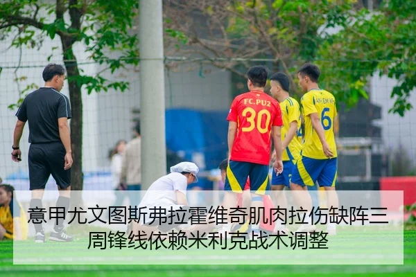 意甲尤文图斯弗拉霍维奇肌肉拉伤缺阵三周锋线依赖米利克战术调整